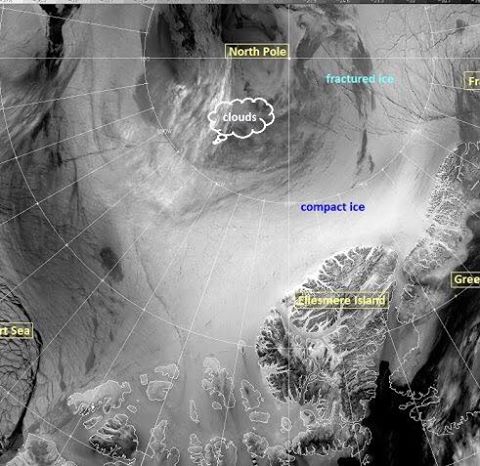 12936623_1146216815429132_7406034935838265781_n